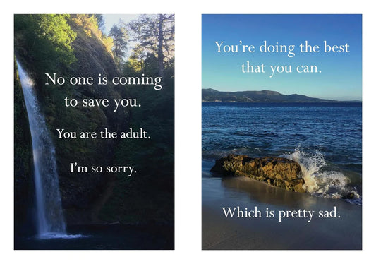 Book - Disappointing Affirmations