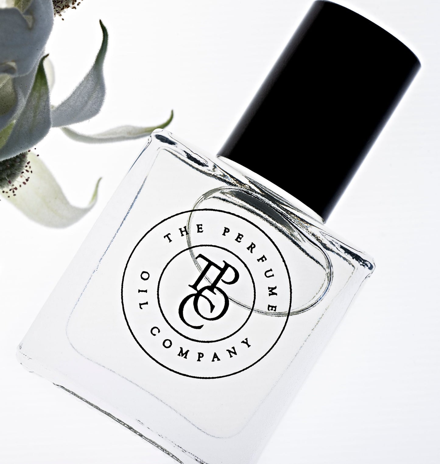 The Perfume Oil - Santal - Isla-Maree