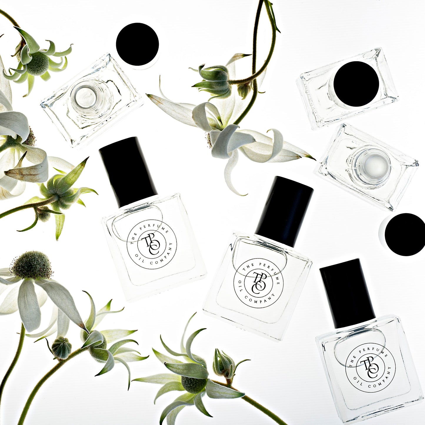 The Perfume Oil - Santal - Isla-Maree